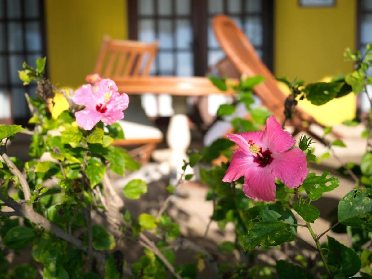 Las Flores Beachside Hotel Catmon Экстерьер фото